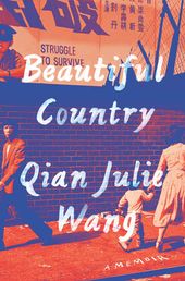 Beautiful Country cover